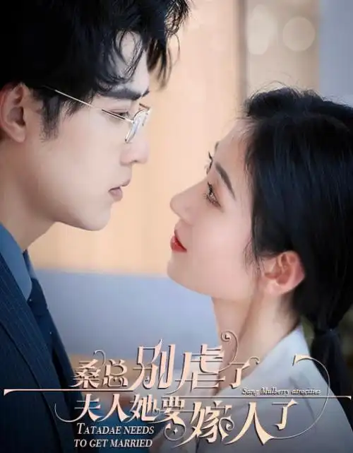 破晓航线热播电视剧全集